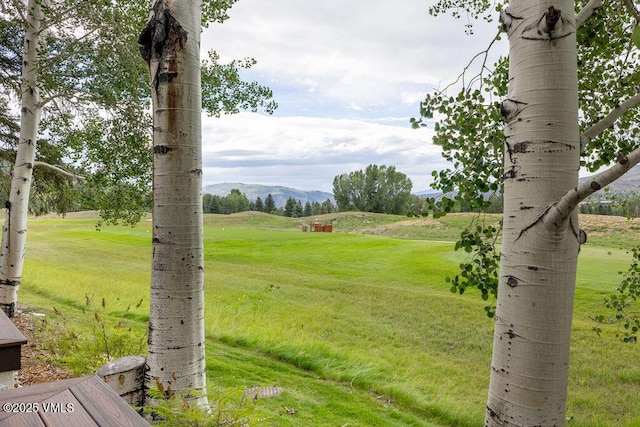 170 Wildflower Unit 12, Edwards, CO 81632 - view of grassy yard with a mountain view and a view of rural / pastoral area