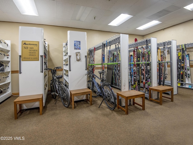 684 W Lionshead Cir Unit 215/216, Vail, CO 81657 - gym with carpet flooring and a paneled ceiling