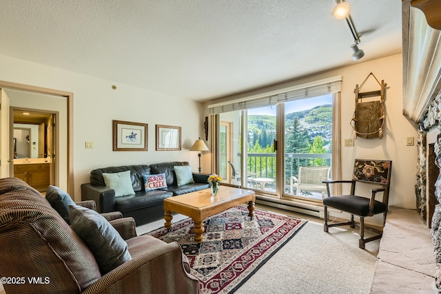1120 Village Rd Unit 306, Beaver Creek, CO 81620 - carpeted living room featuring a baseboard heating unit, rail lighting, and a textured ceiling