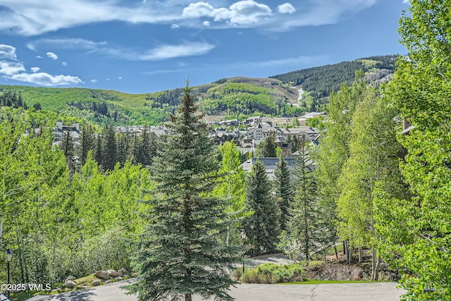 1120 Village Rd Unit 306, Beaver Creek, CO 81620 - view of mountain backdrop with a heavily wooded area