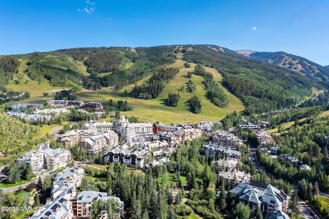 1120 Village Rd Unit 306, Beaver Creek, CO 81620 - view of property location with a mountain backdrop and a forest