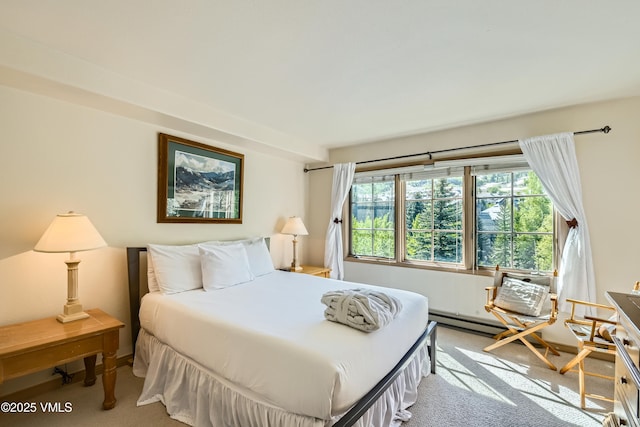 1120 Village Rd Unit 306, Beaver Creek, CO 81620 - view of carpeted bedroom