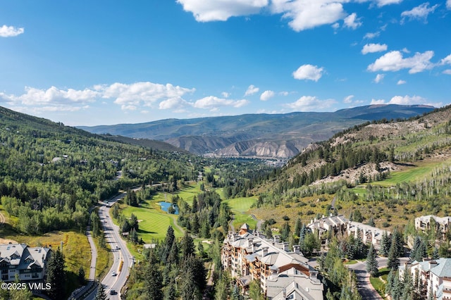 1120 Village Rd Unit 306, Beaver Creek, CO 81620 - mountain view featuring a large body of water and a heavily wooded area