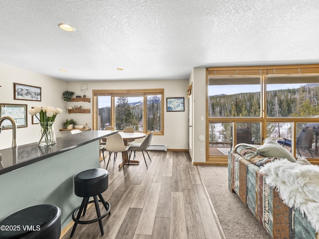 interior space featuring a baseboard radiator, a textured ceiling, and light hardwood / wood-style floors