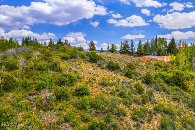 114 Alhambra Pl, Edwards, CO 81632