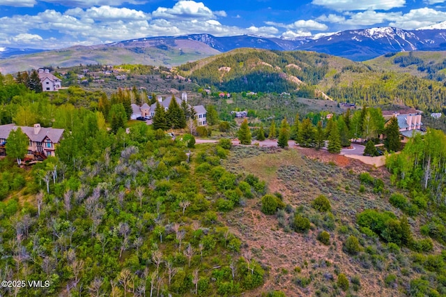 114 Alhambra Pl, Edwards, CO 81632