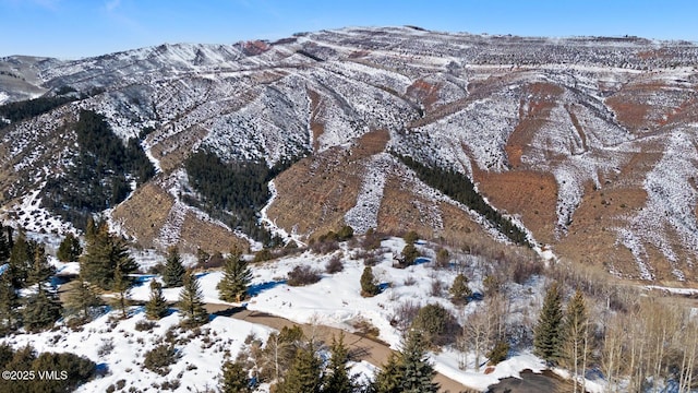 114 Alhambra Pl, Edwards, CO 81632