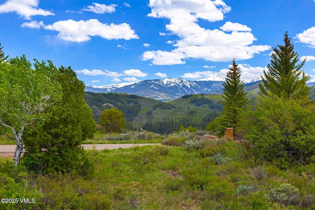 114 Alhambra Pl, Edwards, CO 81632