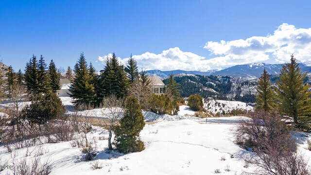 114 Alhambra Pl, Edwards, CO 81632