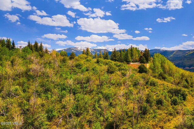 114 Alhambra Pl, Edwards, CO 81632