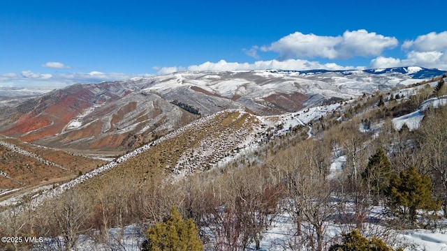114 Alhambra Pl, Edwards, CO 81632