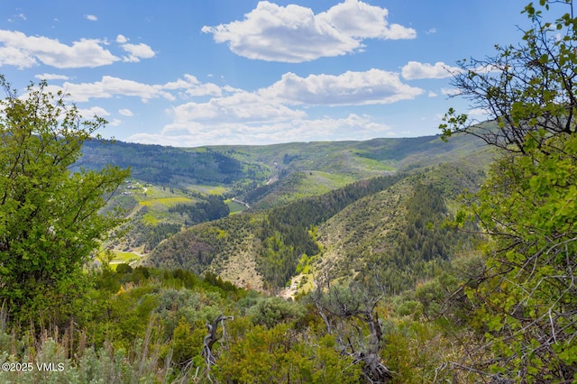 114 Alhambra Pl, Edwards, CO 81632