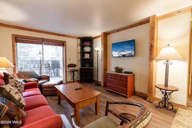 living room with crown molding and wood-type flooring