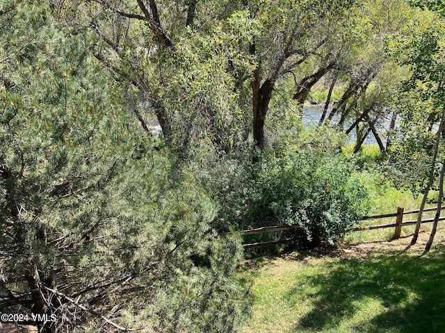 35 Chelsea Ct Unit 9, Eagle, CO 81631 - view of nature featuring a forest view