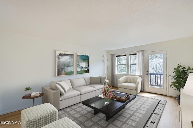35 Chelsea Ct Unit 9, Eagle, CO 81631 - living room with baseboards and wood finished floors