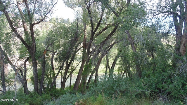 35 Chelsea Ct Unit 9, Eagle, CO 81631 - view of landscape with a forest view