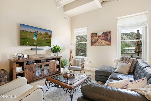 living room featuring light hardwood / wood-style flooring and a wealth of natural light