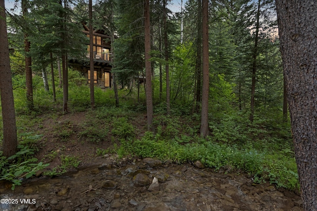 12 Cabin Creek Ln, Edwards, CO 81632 - view of tree filled area