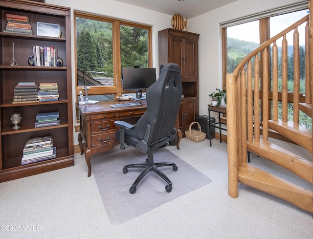 3827 Lupine Dr Unit B, Vail, CO 81657 - view of carpeted office