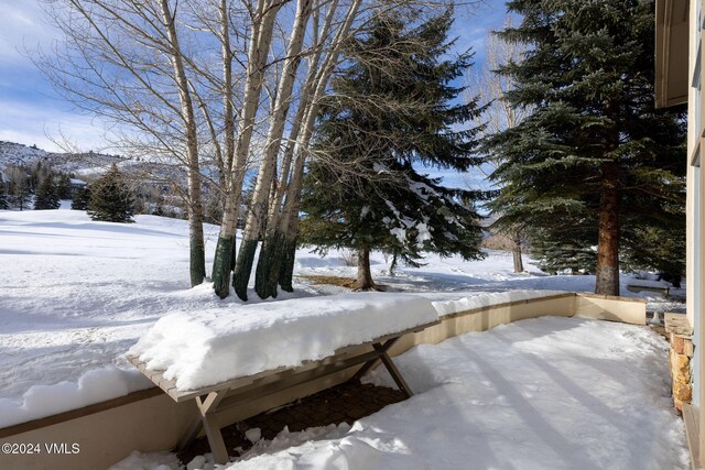 view of yard layered in snow