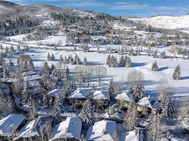 snowy aerial view featuring a mountain view