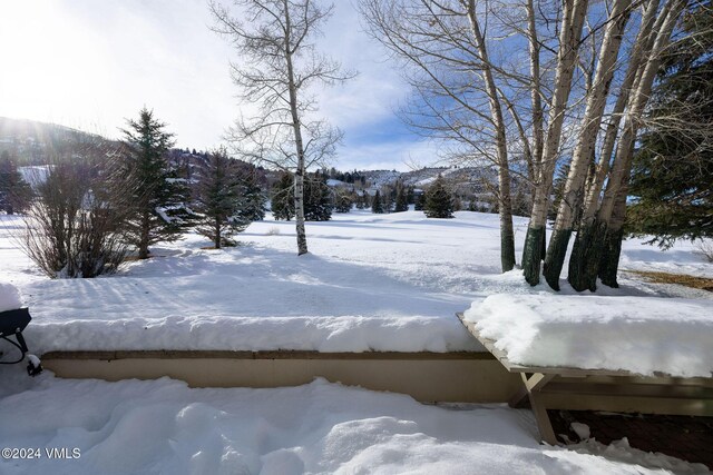 view of snowy yard