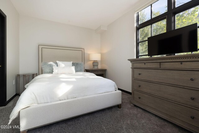 bedroom featuring dark carpet