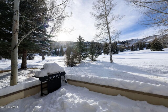 view of yard layered in snow