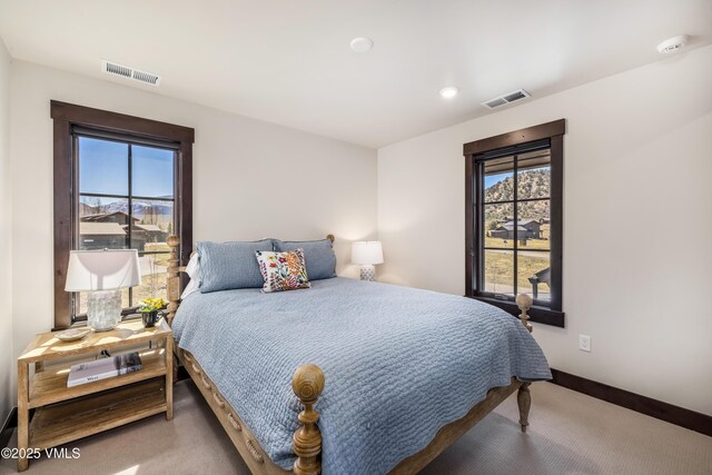 687 Hunters View Ln, Eagle, CO 81631 - bedroom featuring carpet flooring, multiple windows, baseboards, and recessed lighting