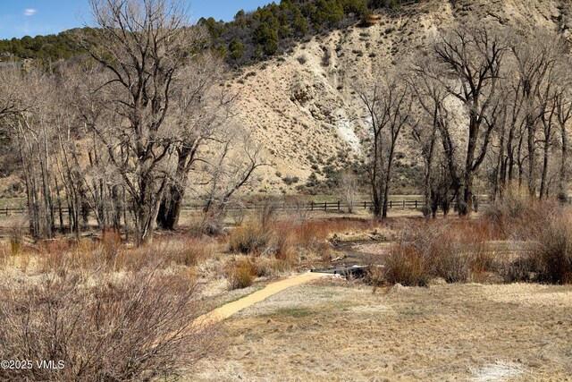 687 Hunters View Ln, Eagle, CO 81631 - view of undeveloped land