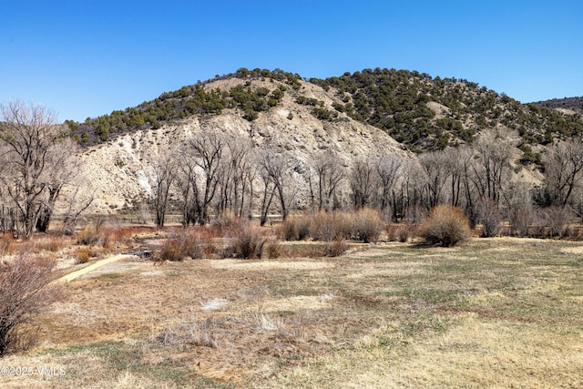 687 Hunters View Ln, Eagle, CO 81631 - mountain view
