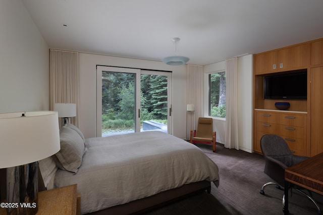 344 Beaver Dam Rd, Vail, CO 81657 - bedroom featuring dark colored carpet