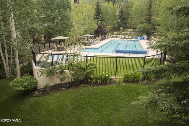 view of swimming pool featuring a patio and a lawn