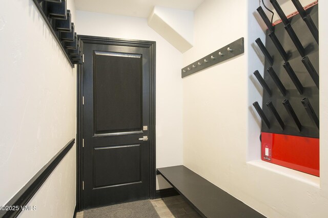 mudroom with wood-type flooring