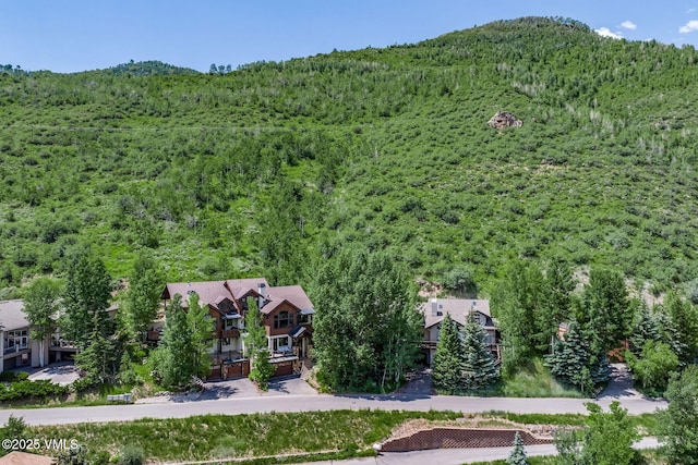 2417 Garmisch Dr Unit B, Vail, CO 81657 - view of subject property with a heavily wooded area and mountains