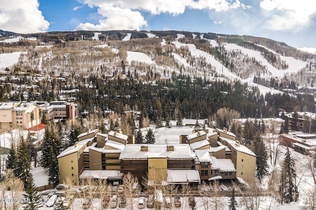 snowy aerial view featuring a mountain view