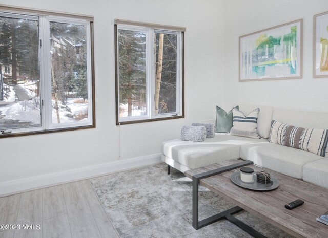 living room with light hardwood / wood-style flooring