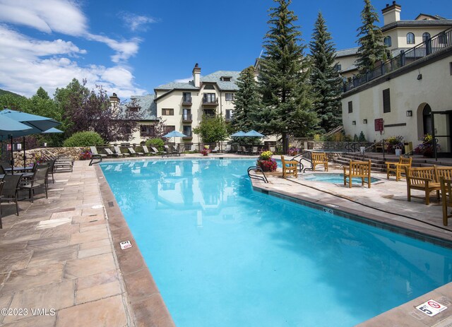 view of swimming pool with a patio