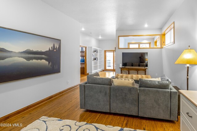 living room featuring light hardwood / wood-style floors