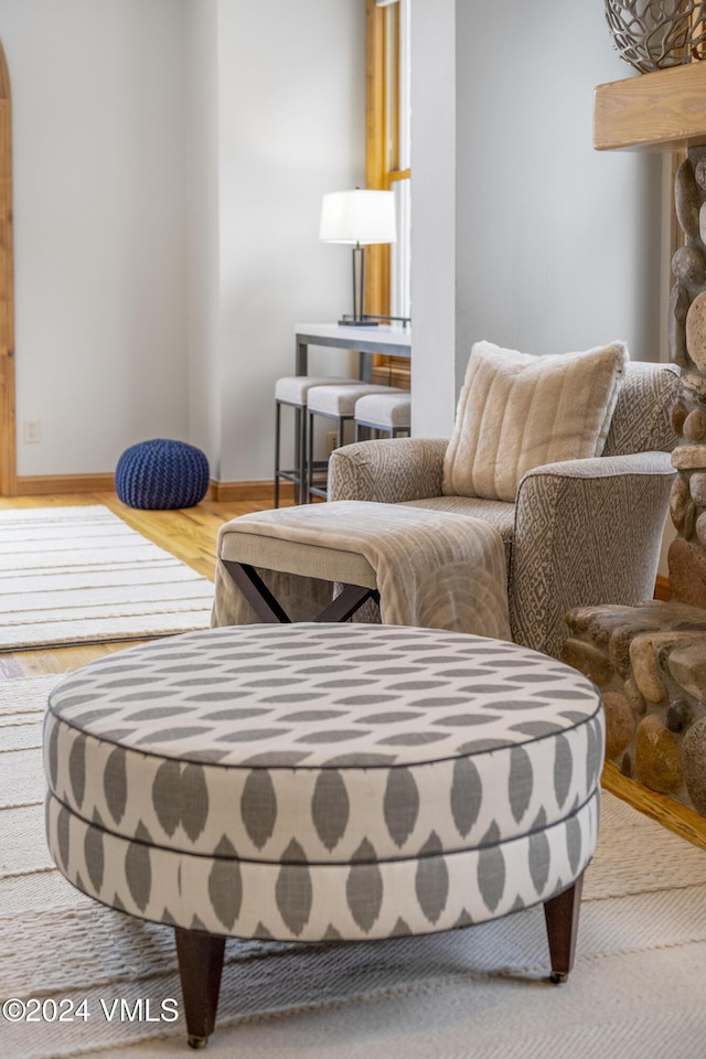 living area featuring wood-type flooring