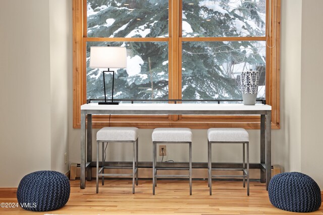 bar featuring baseboard heating, plenty of natural light, and hardwood / wood-style floors