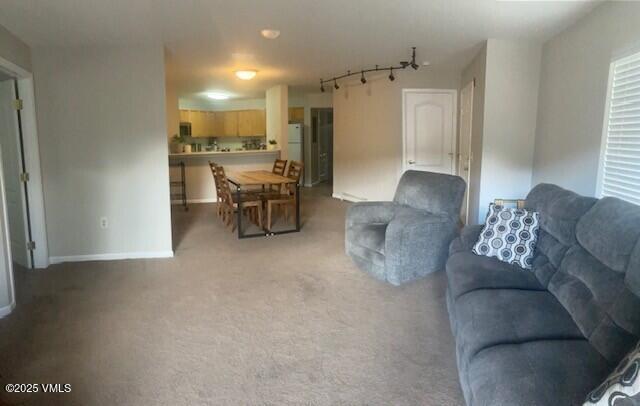 1902 Crazy Horse Cir, Edwards, CO 81632 - living area featuring carpet floors and baseboards