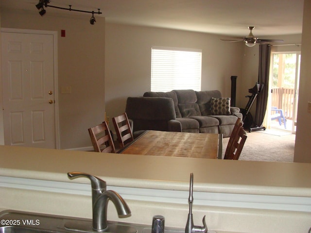 1902 Crazy Horse Cir, Edwards, CO 81632 - dining area featuring a ceiling fan, carpet floors, and rail lighting