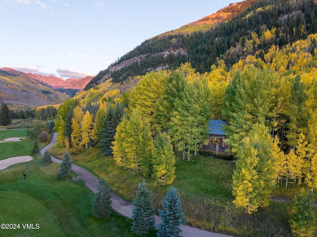 birds eye view of property with a mountain view