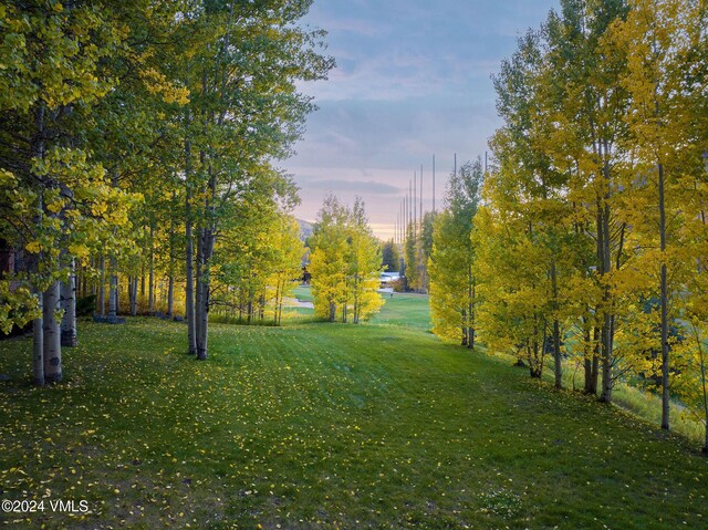 view of yard at dusk