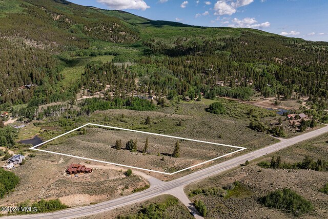 400 Lang, Twin Lakes, CO 81251 - photo 3
