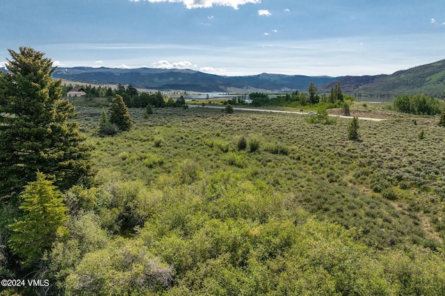 400 Lang, Twin Lakes, CO 81251 - photo 15