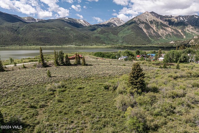 400 Lang, Twin Lakes, CO 81251 - photo 9