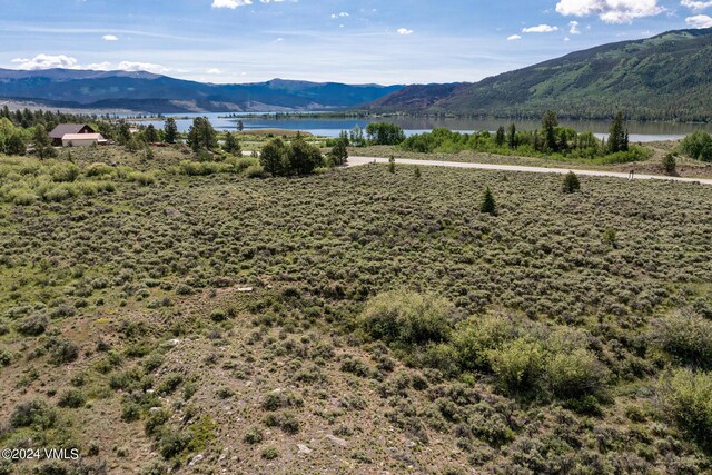 400 Lang, Twin Lakes, CO 81251 - photo 11