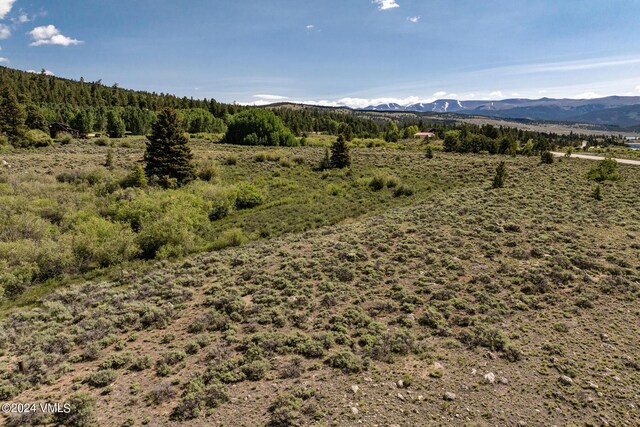 400 Lang, Twin Lakes, CO 81251 - photo 14